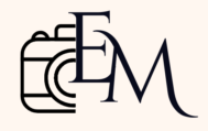 Enelin Studio logo